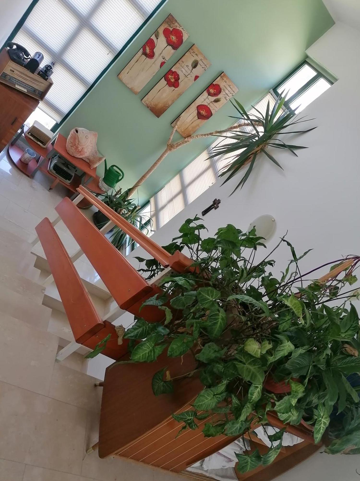 Apartament Katarina 2 *
